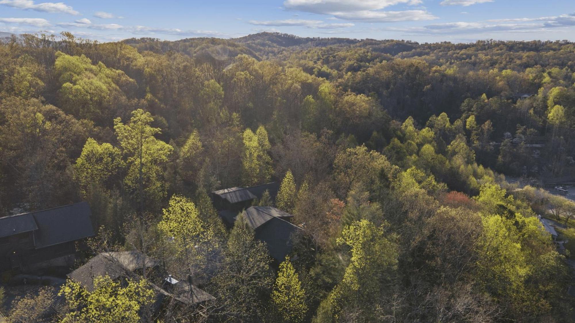Stunning Mountain Cabin W Hot Tub Gatlinburg Buitenkant foto